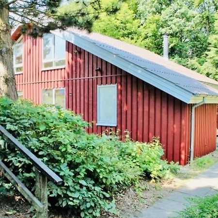 Komfort-Ferienhaus - Extertal Ferienpark - Entspannung, Natur, Wald, Familie #51 Eksteriør bilde